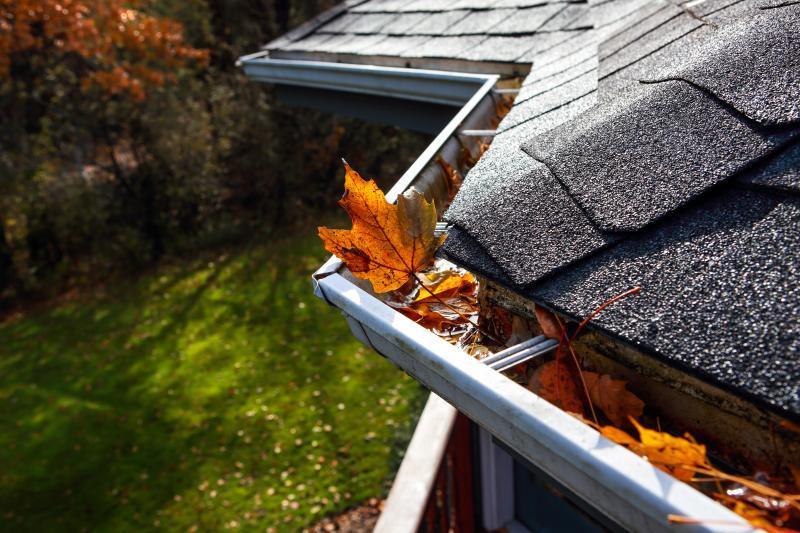 Roof Maintenance
